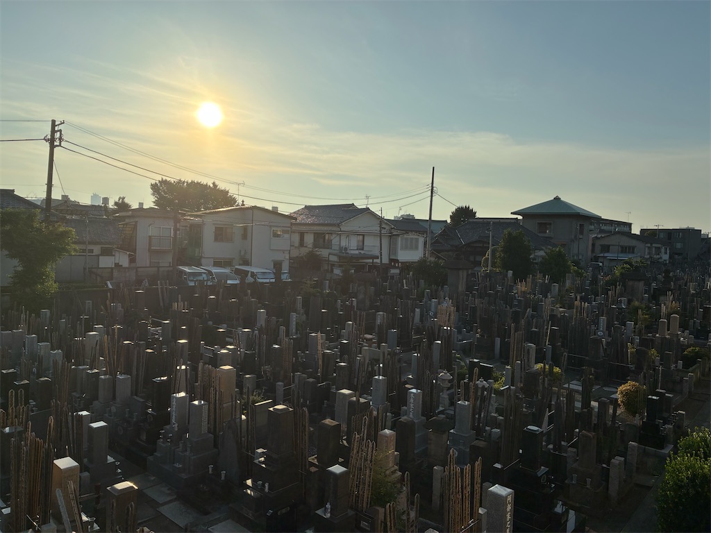 f:id:TokuheiKumagai:20250622184855j:image