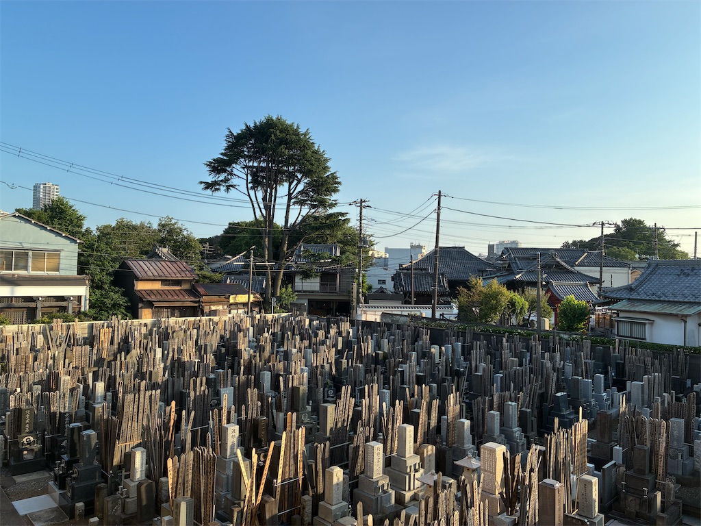 f:id:TokuheiKumagai:20250622184903j:image
