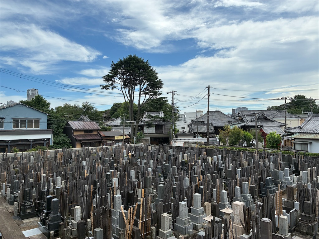 f:id:TokuheiKumagai:20250623225049j:image