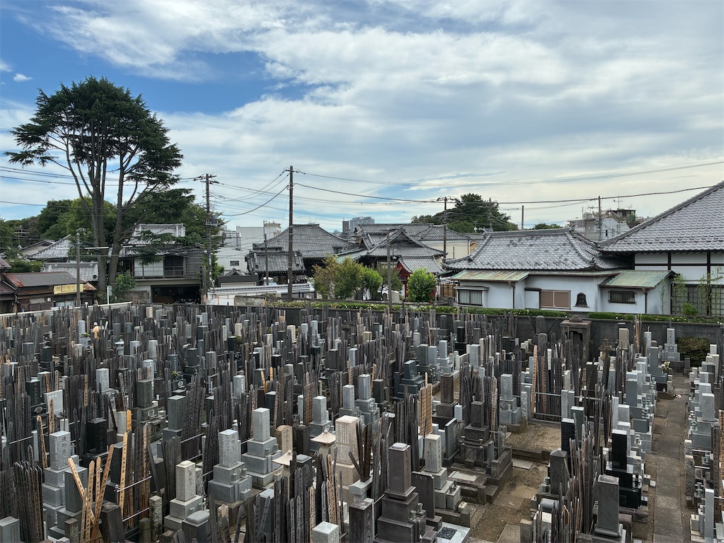 f:id:TokuheiKumagai:20250623225051j:image