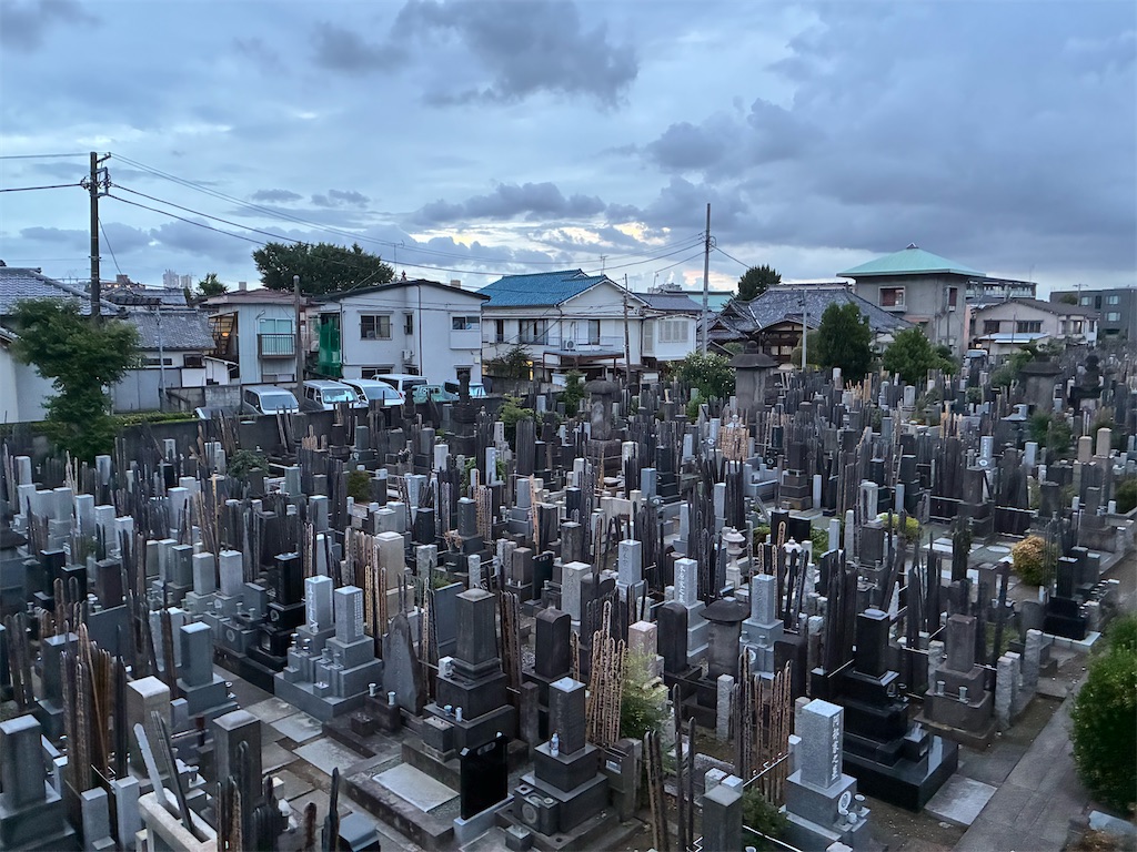 f:id:TokuheiKumagai:20250624190947j:image