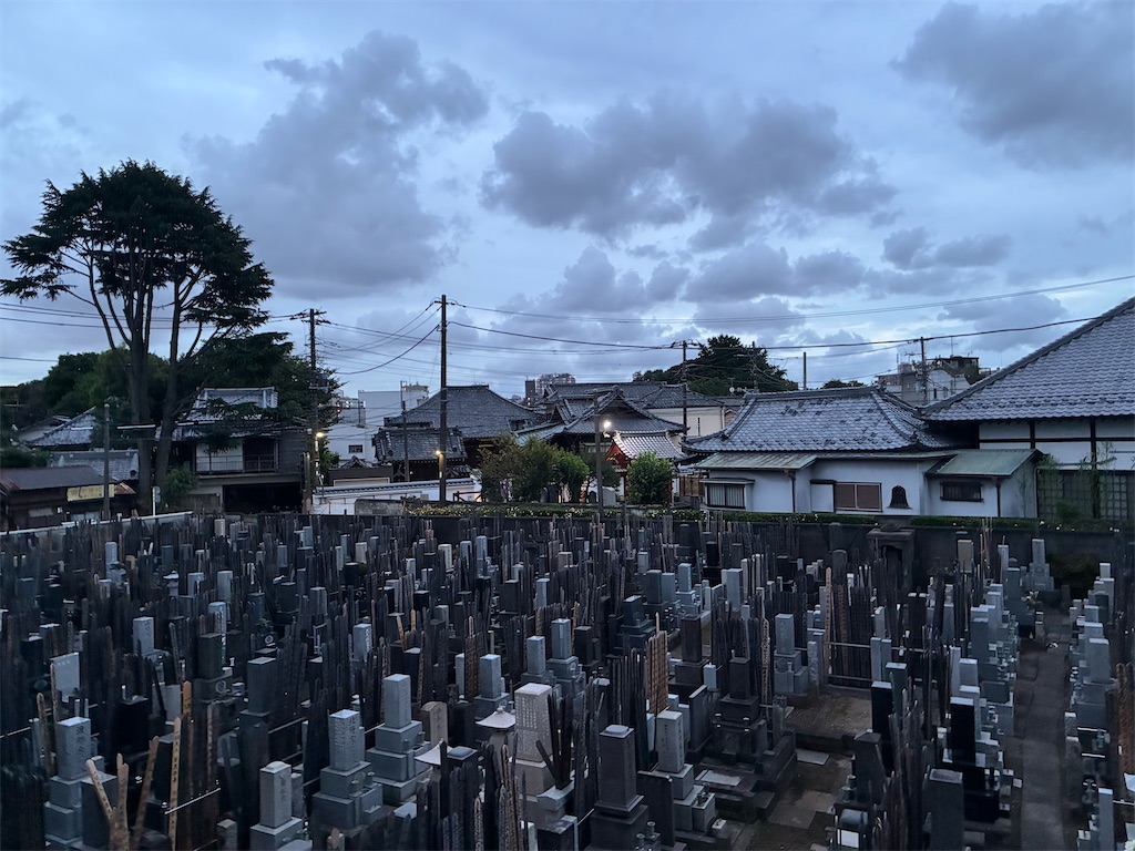 f:id:TokuheiKumagai:20250624190953j:image