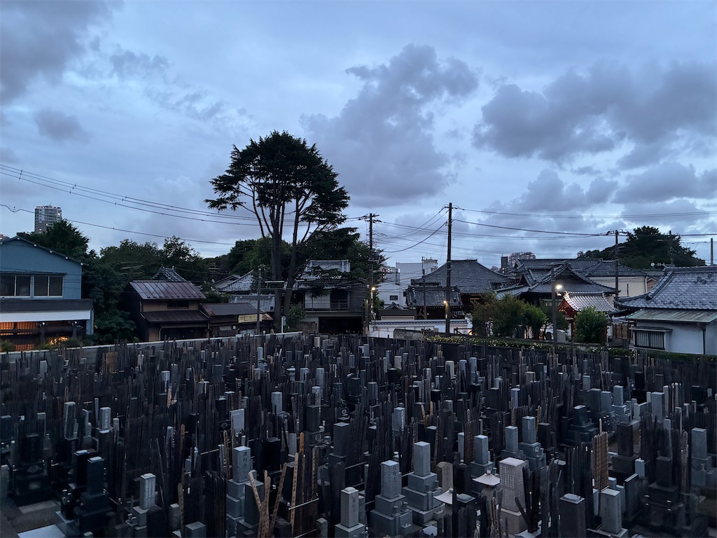 f:id:TokuheiKumagai:20250624190959j:image