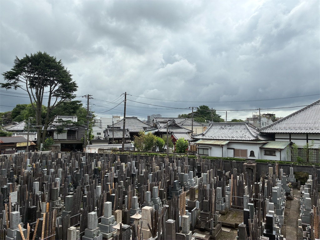 f:id:TokuheiKumagai:20250625150554j:image