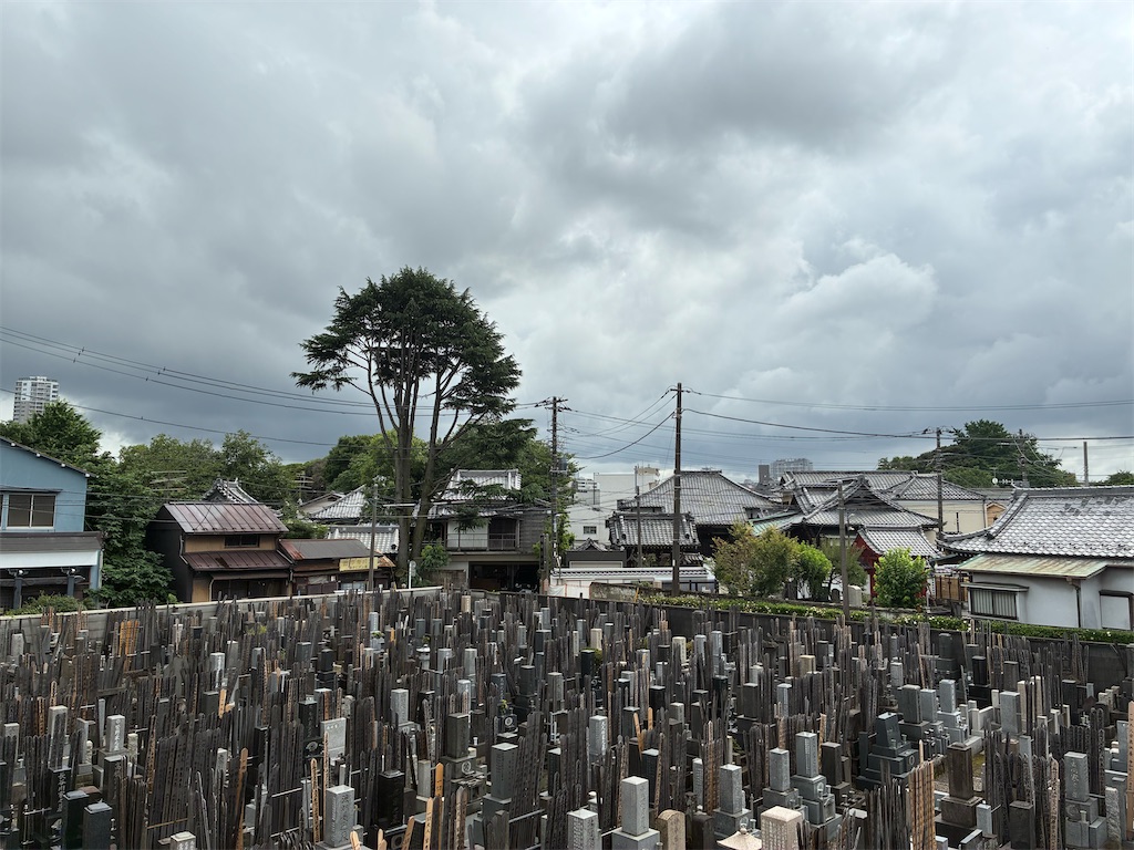 f:id:TokuheiKumagai:20250625150558j:image