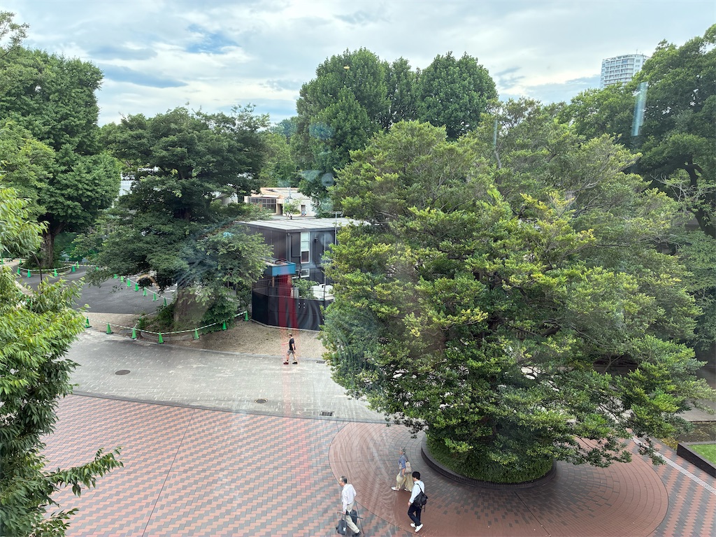 f:id:TokuheiKumagai:20250626173332j:image
