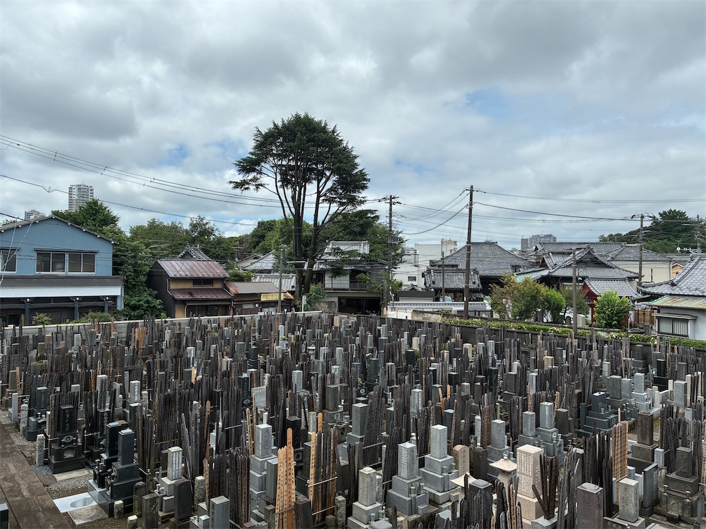 f:id:TokuheiKumagai:20250626173459j:image