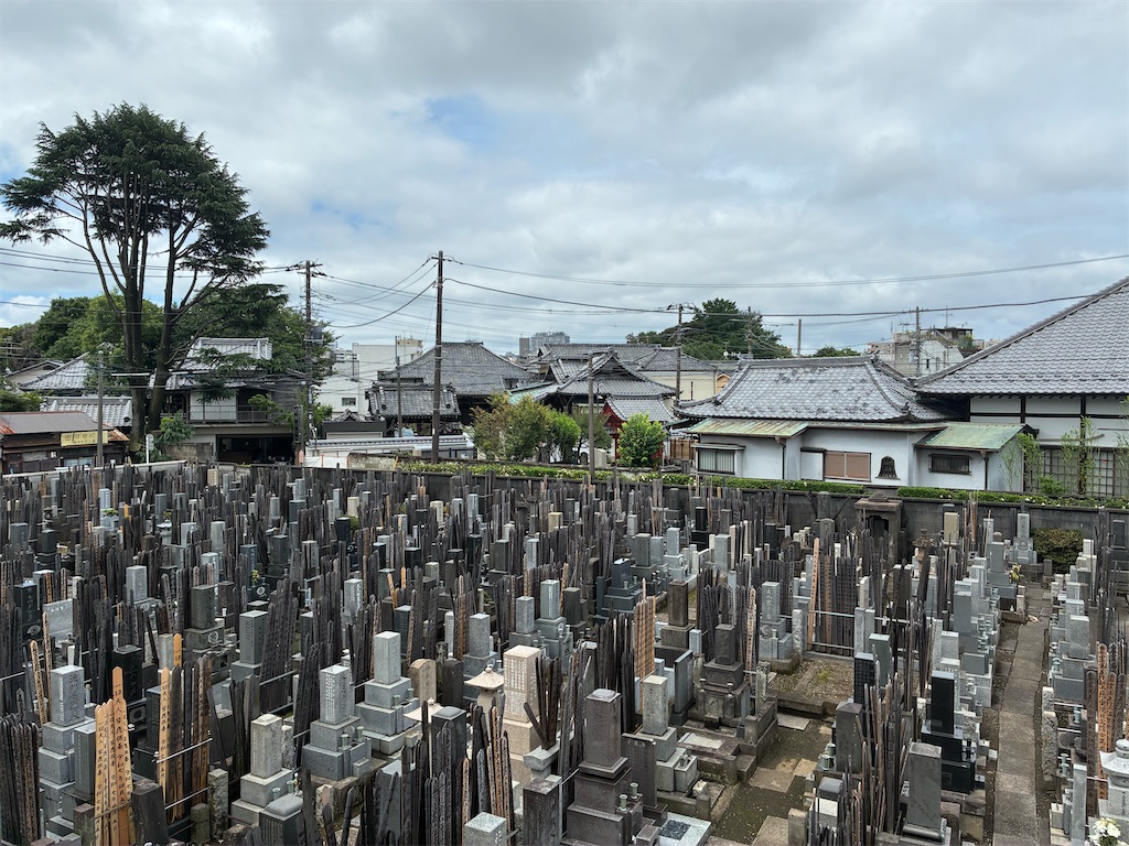 f:id:TokuheiKumagai:20250626173501j:image