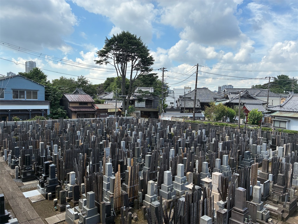 f:id:TokuheiKumagai:20250627134626j:image