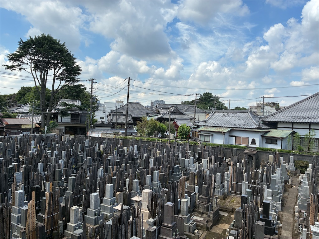 f:id:TokuheiKumagai:20250627134633j:image