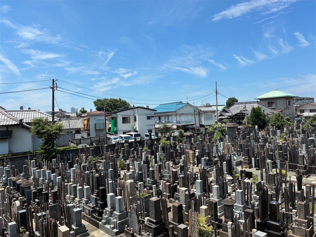 f:id:TokuheiKumagai:20250628165727j:image