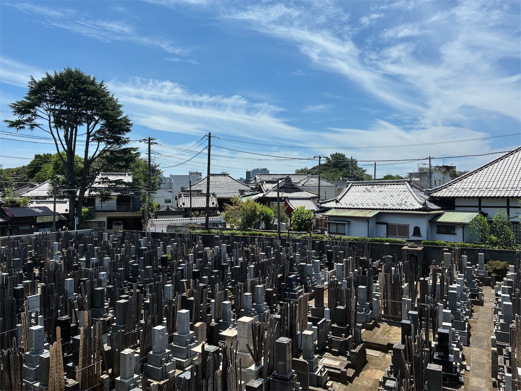 f:id:TokuheiKumagai:20250628165737j:image