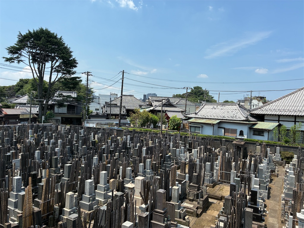f:id:TokuheiKumagai:20250629211027j:image