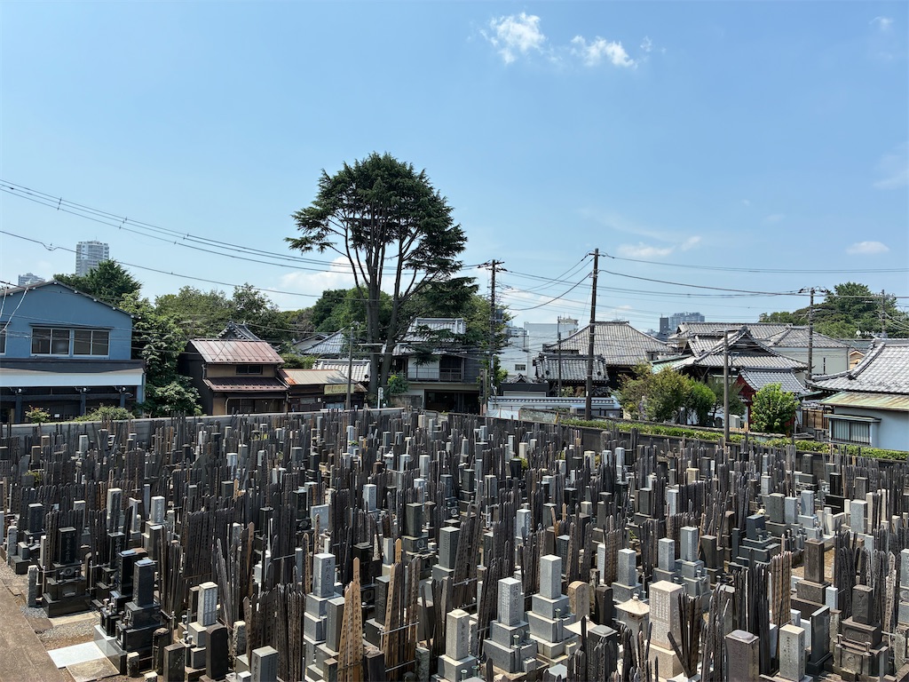 f:id:TokuheiKumagai:20250629211037j:image