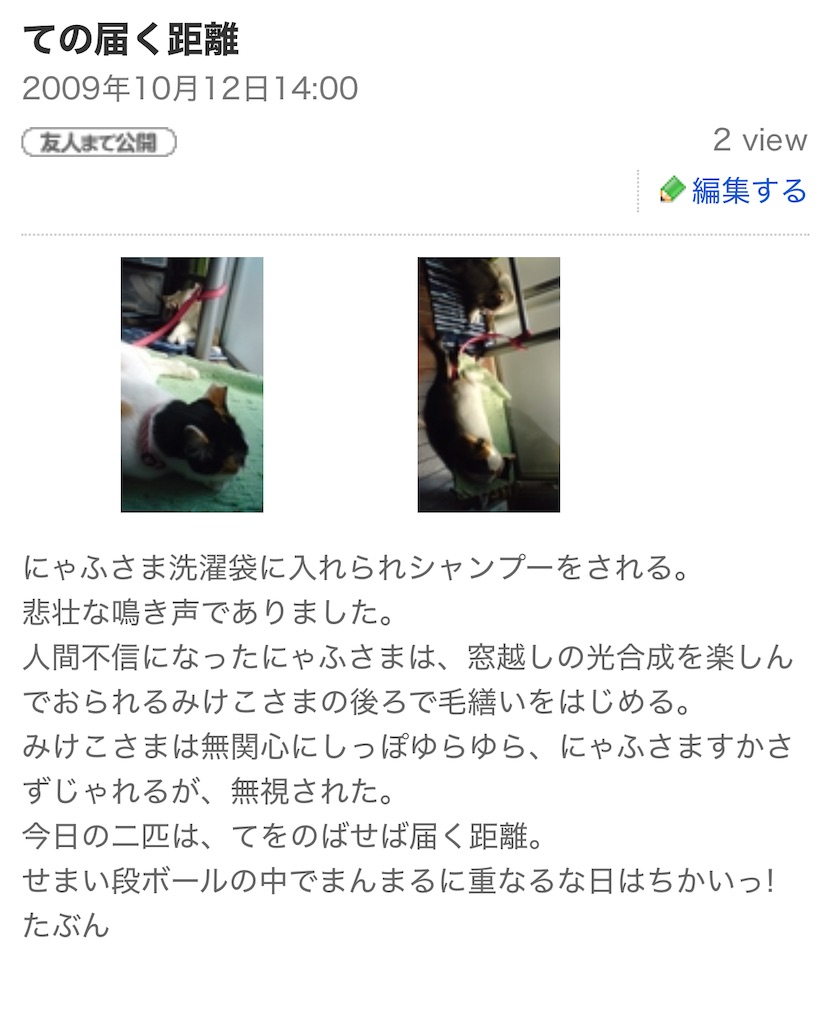 f:id:TokuheiKumagai:20250630164704j:image