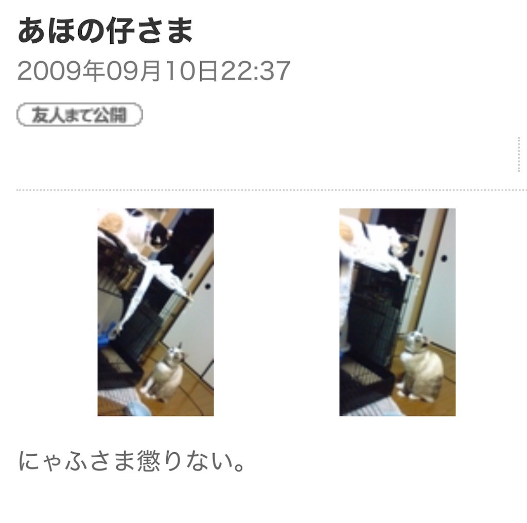 f:id:TokuheiKumagai:20250630164711j:image