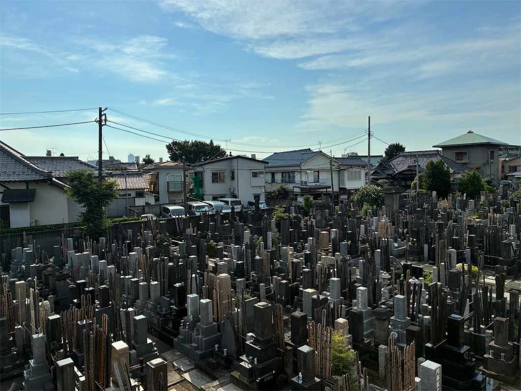 f:id:TokuheiKumagai:20250630164720j:image
