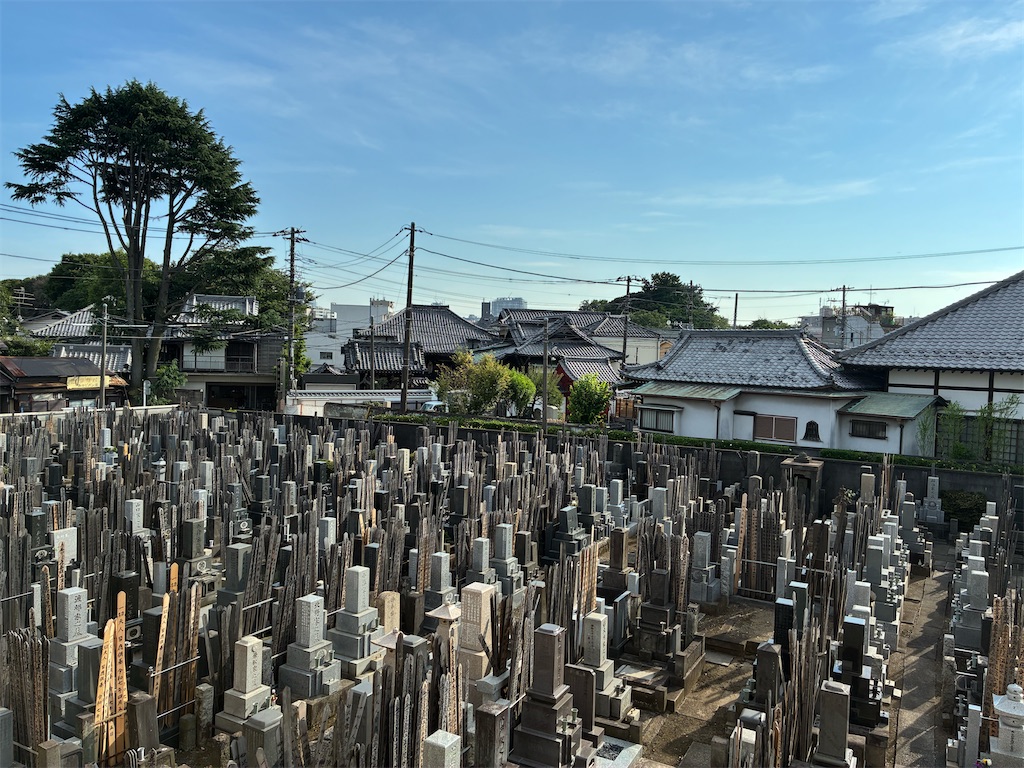 f:id:TokuheiKumagai:20250630164732j:image