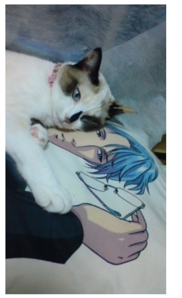 f:id:TokuheiKumagai:20250630164734j:image