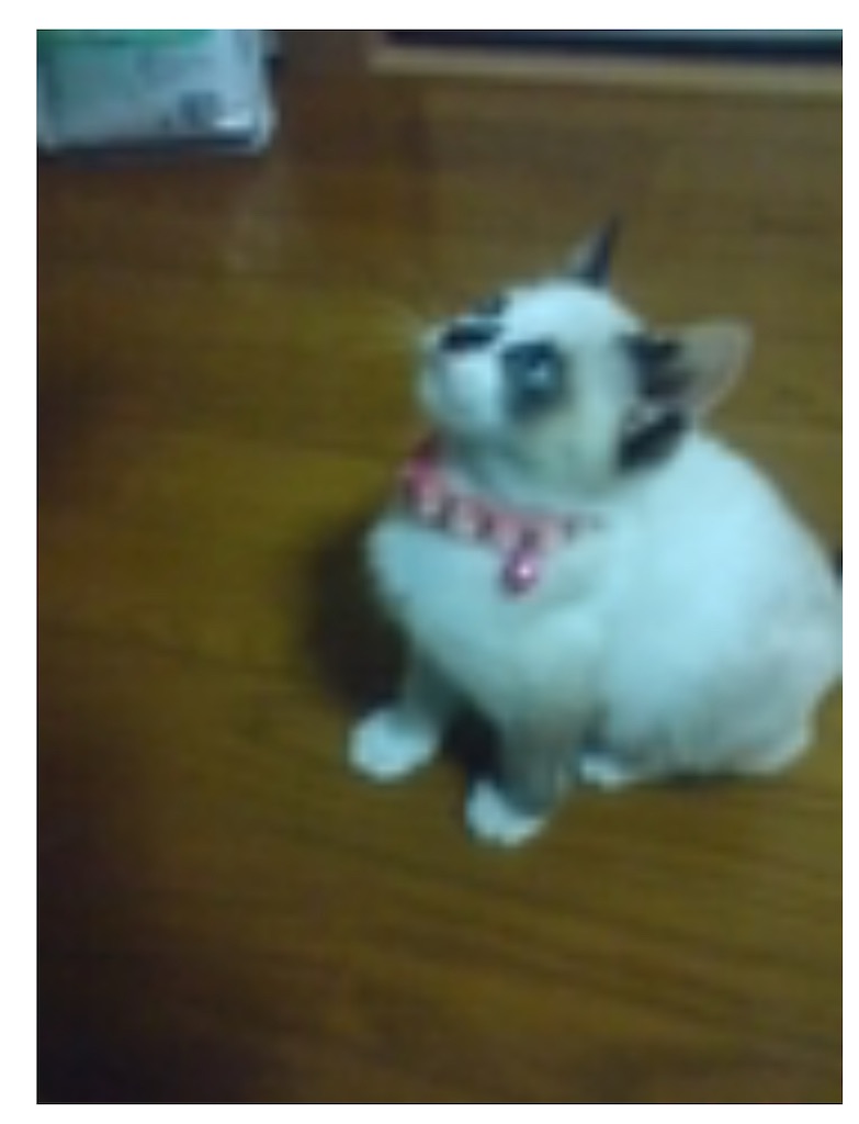 f:id:TokuheiKumagai:20250630164742j:image