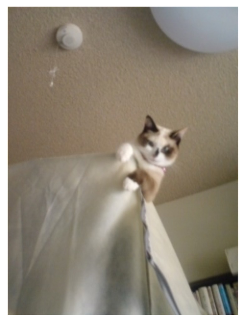 f:id:TokuheiKumagai:20250630164751j:image