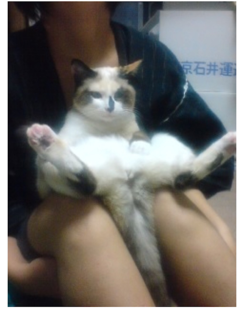 f:id:TokuheiKumagai:20250630164754j:image