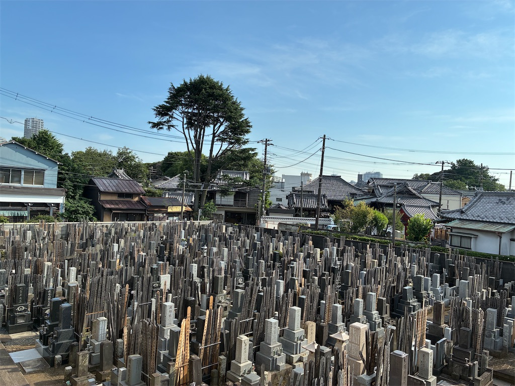 f:id:TokuheiKumagai:20250630164805j:image