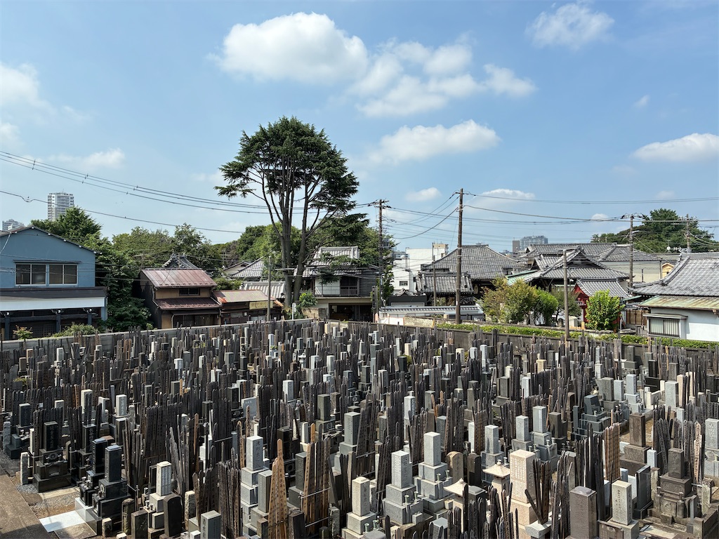 f:id:TokuheiKumagai:20250701132439j:image