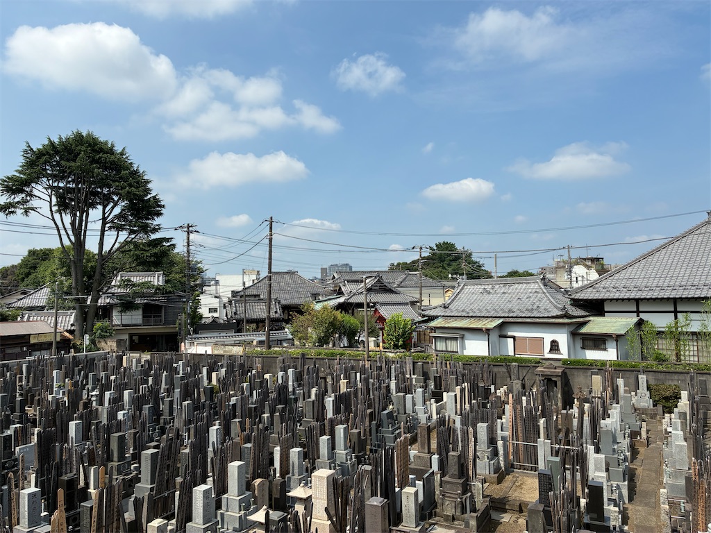 f:id:TokuheiKumagai:20250701132443j:image