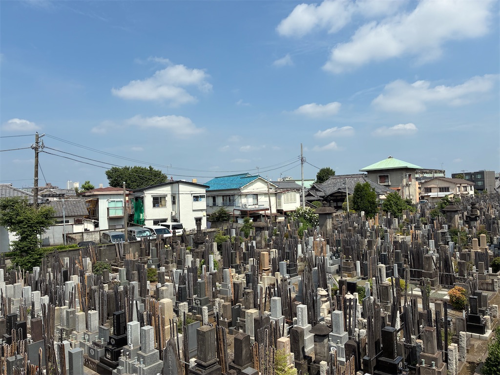 f:id:TokuheiKumagai:20250701132452j:image