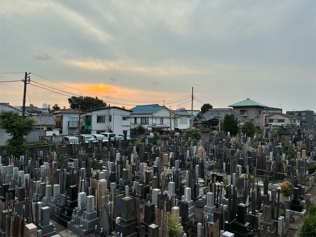 f:id:TokuheiKumagai:20250702182534j:image