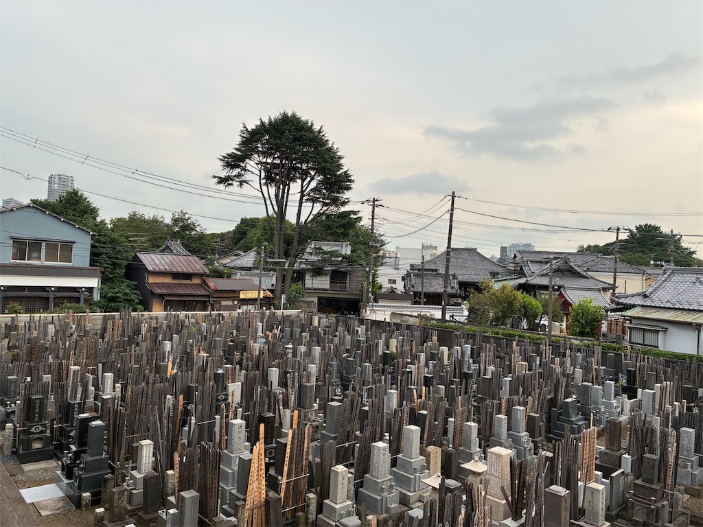 f:id:TokuheiKumagai:20250702182550j:image
