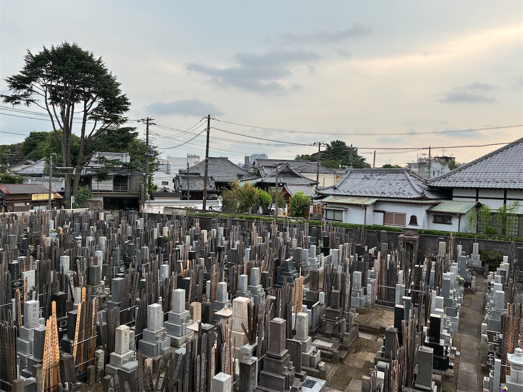 f:id:TokuheiKumagai:20250702182601j:image