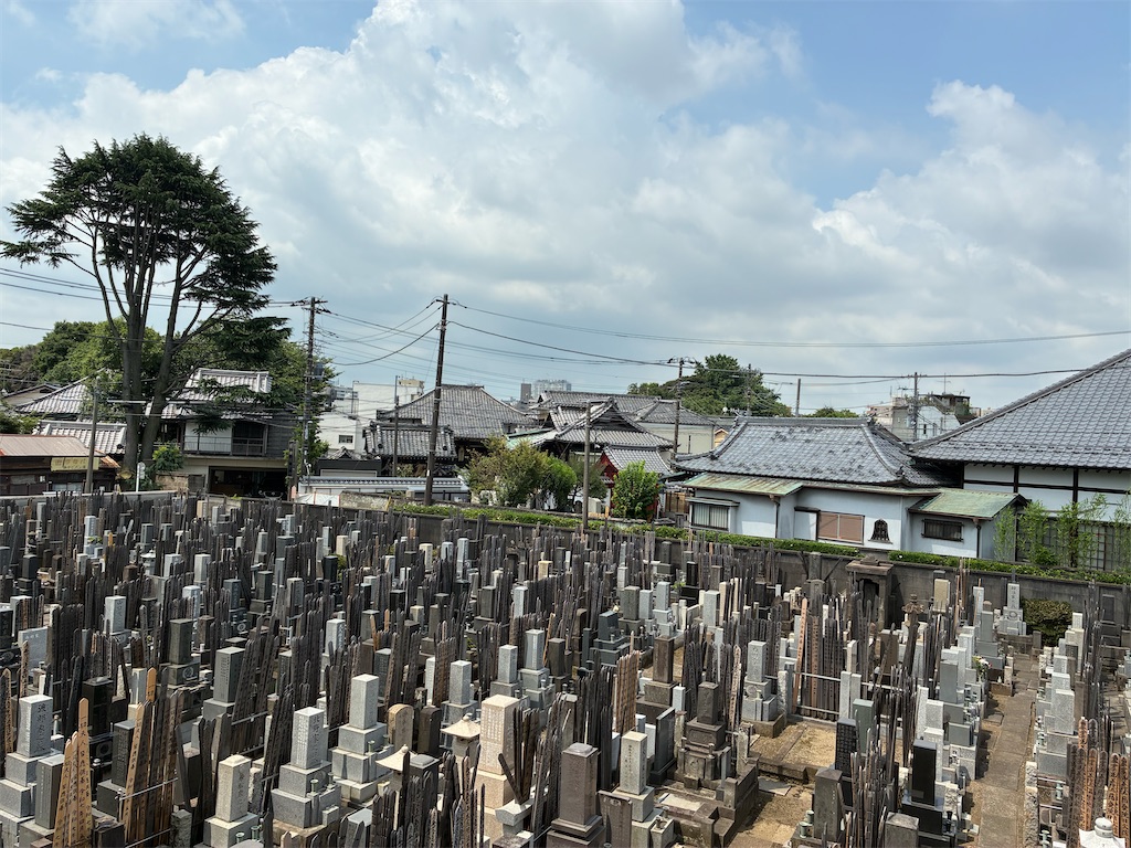 f:id:TokuheiKumagai:20250703195916j:image