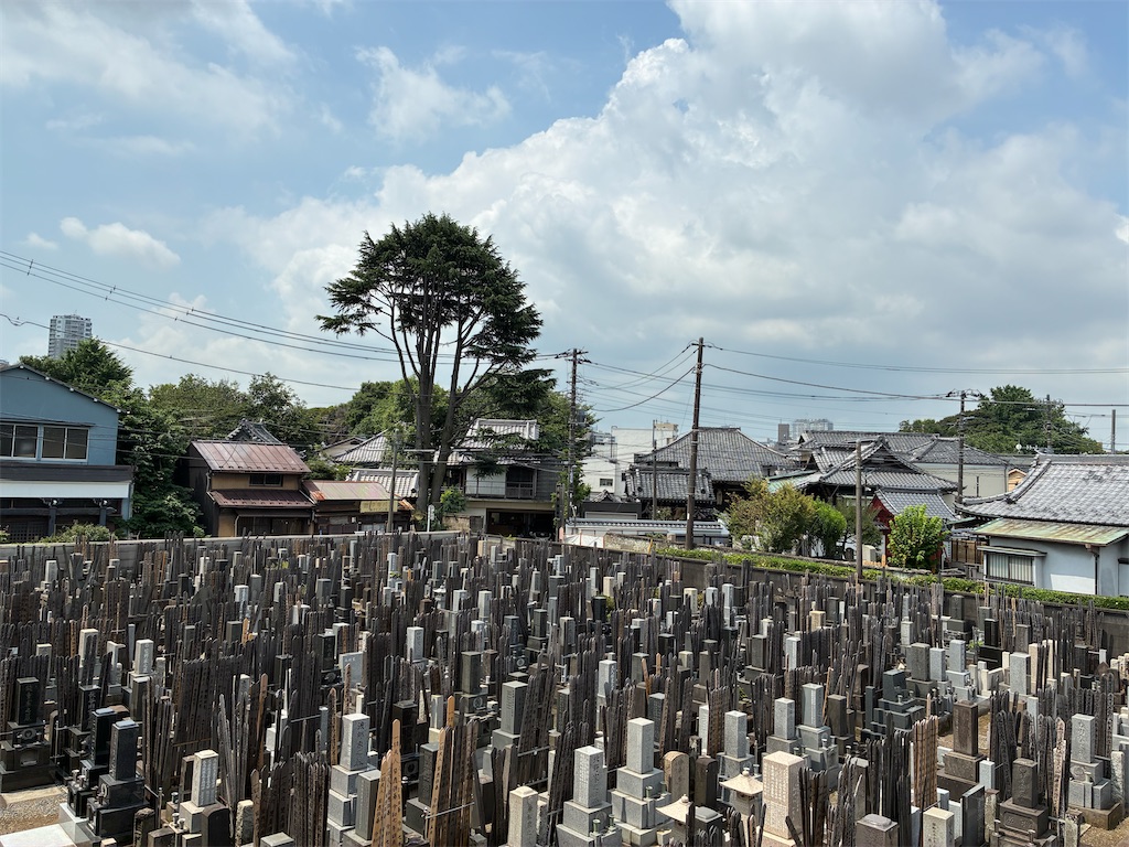 f:id:TokuheiKumagai:20250703195924j:image