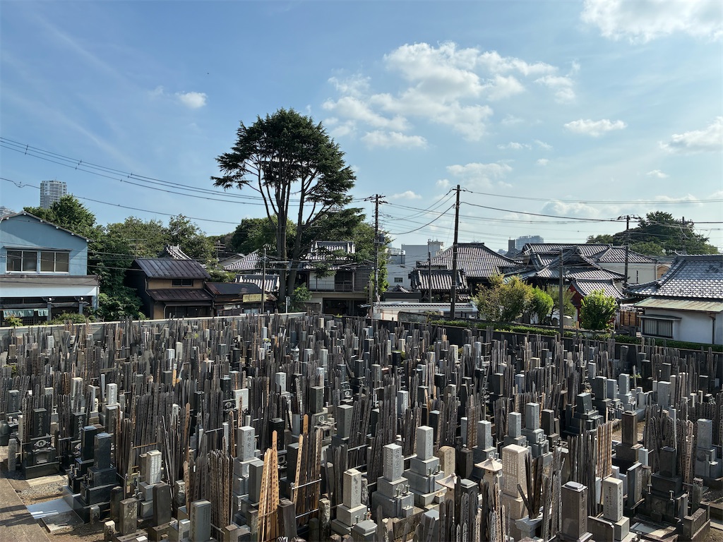 f:id:TokuheiKumagai:20250704170746j:image