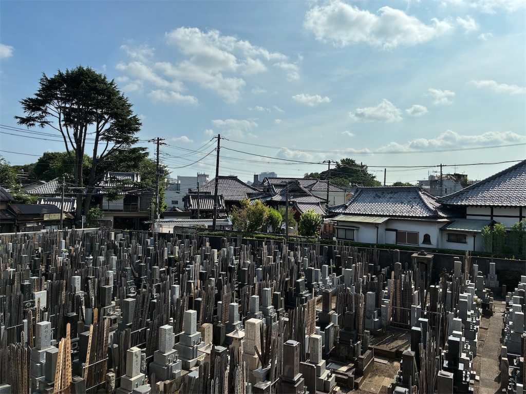 f:id:TokuheiKumagai:20250704170751j:image