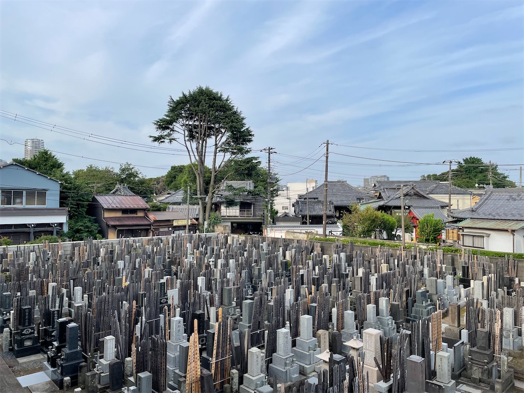 f:id:TokuheiKumagai:20250705230751j:image
