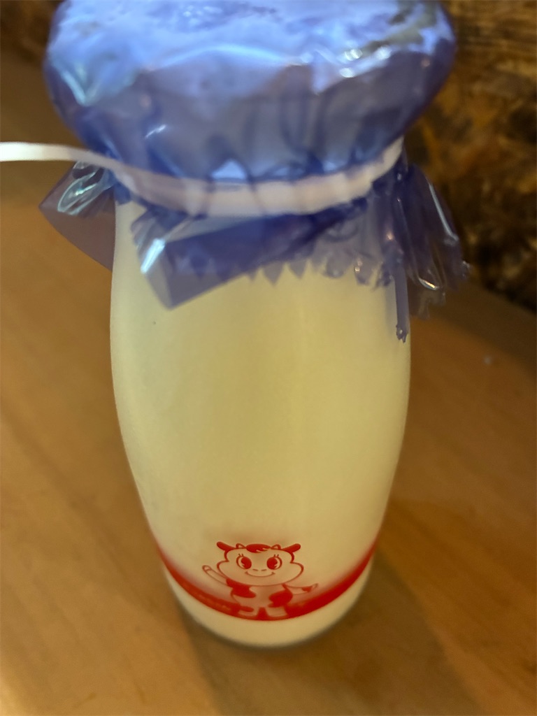 f:id:TokuheiKumagai:20250706061839j:image