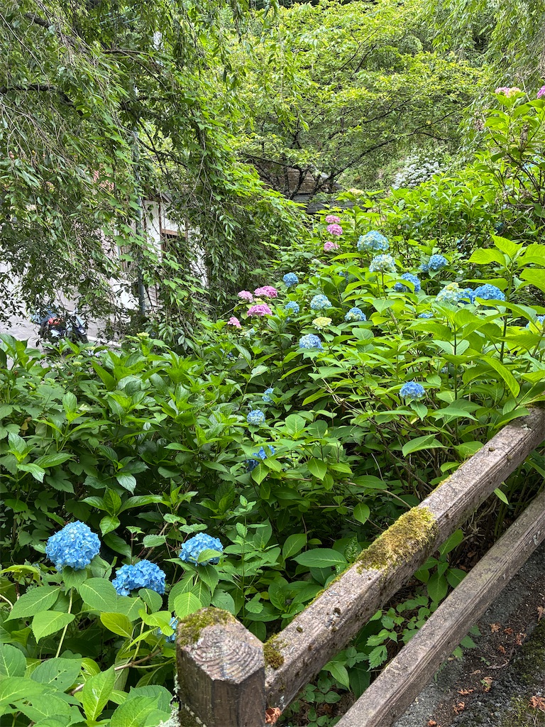 f:id:TokuheiKumagai:20250706061849j:image