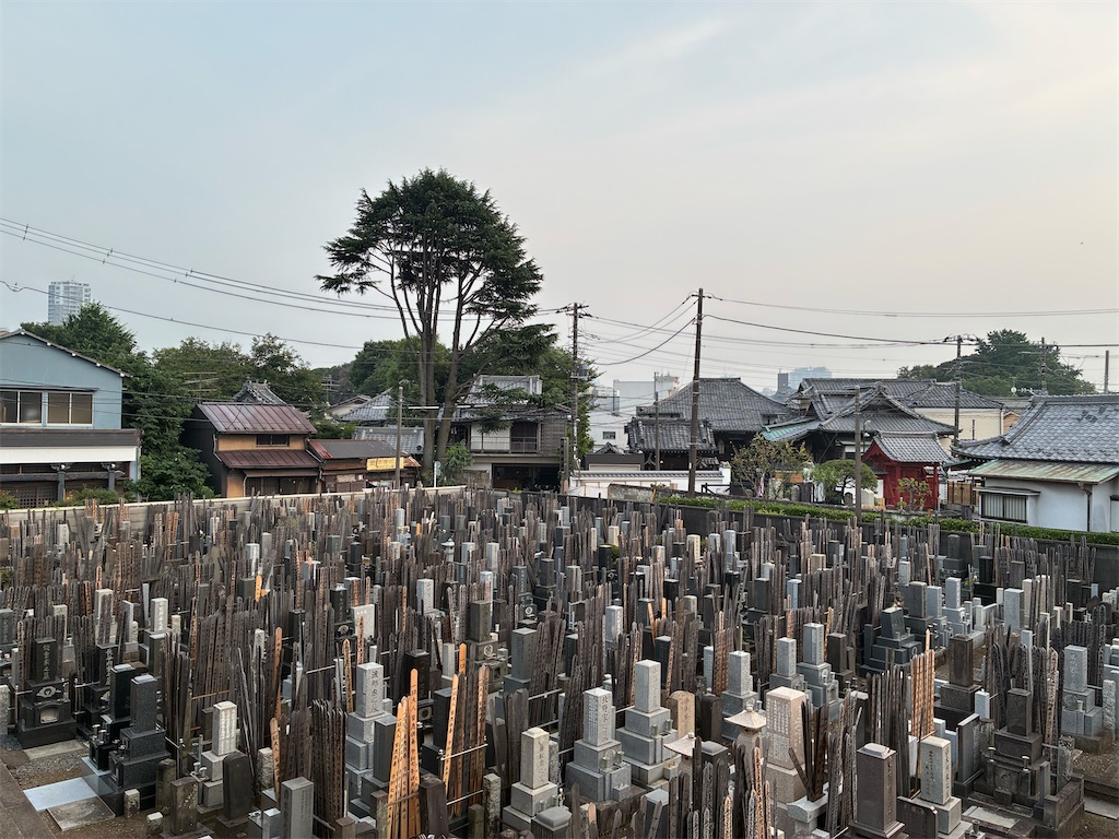 f:id:TokuheiKumagai:20250706184953j:image