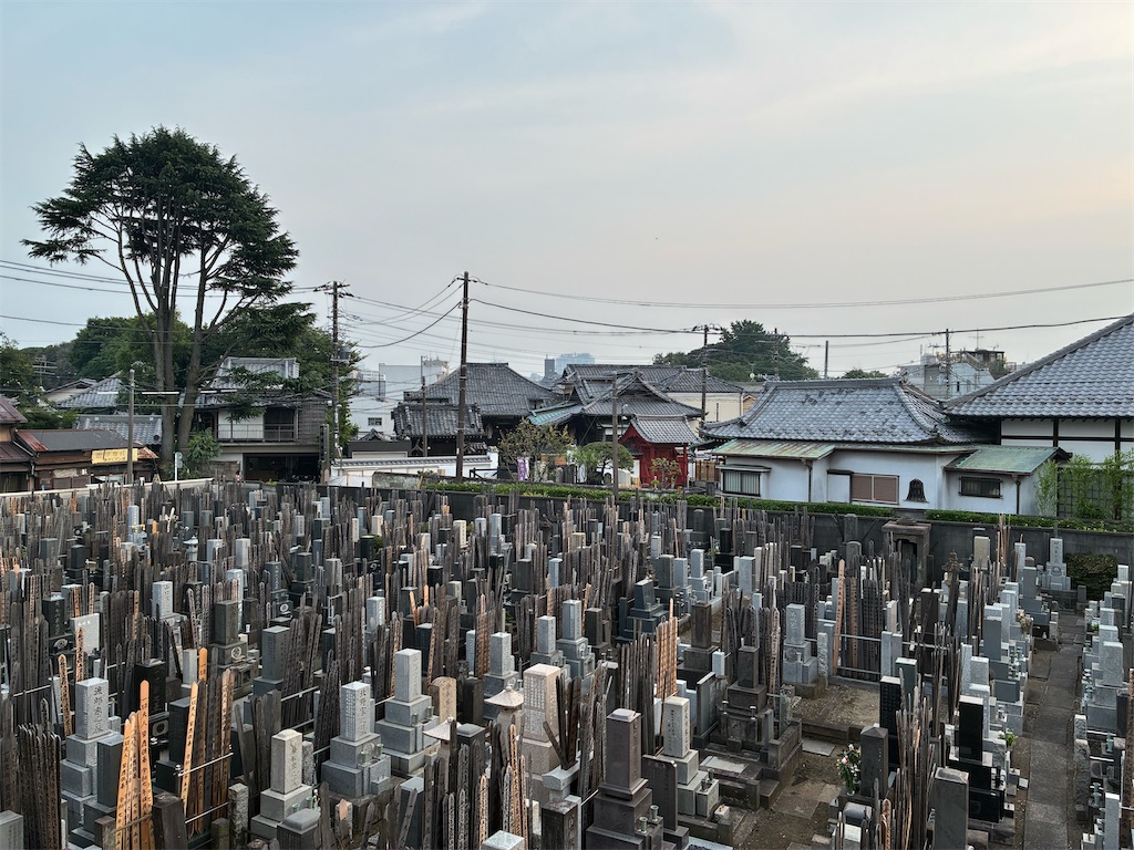 f:id:TokuheiKumagai:20250706184957j:image