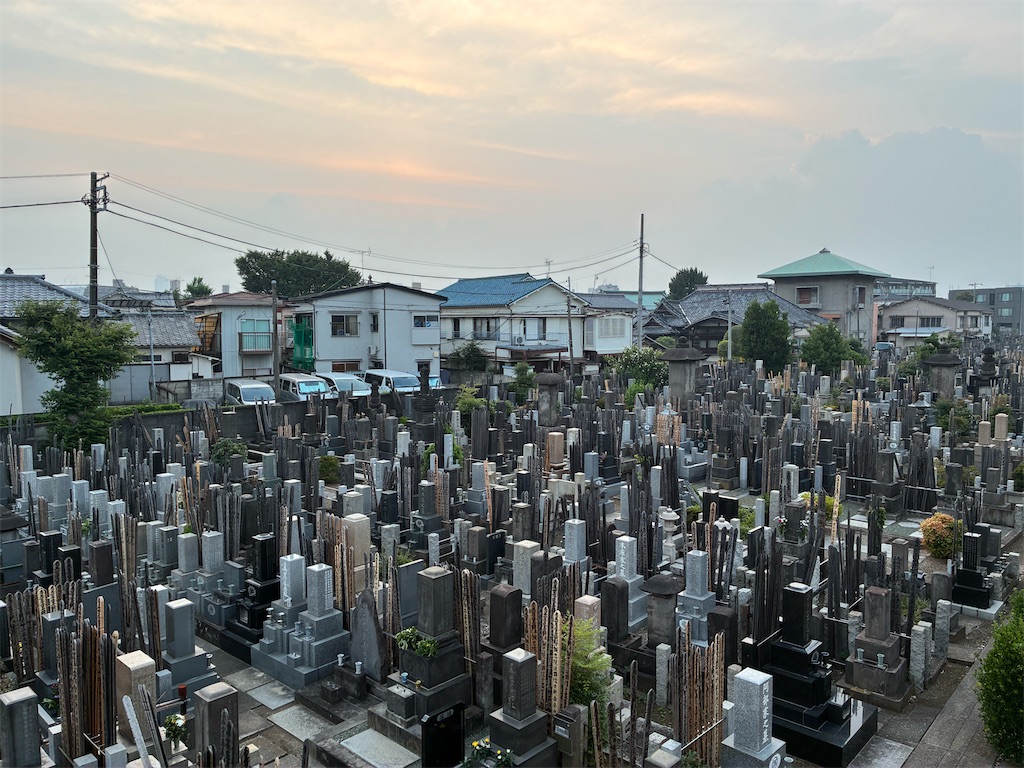 f:id:TokuheiKumagai:20250706185000j:image