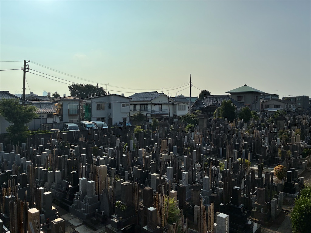 f:id:TokuheiKumagai:20250709164656j:image