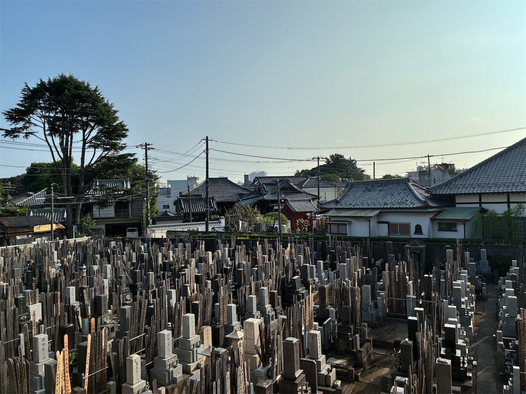 f:id:TokuheiKumagai:20250709164700j:image