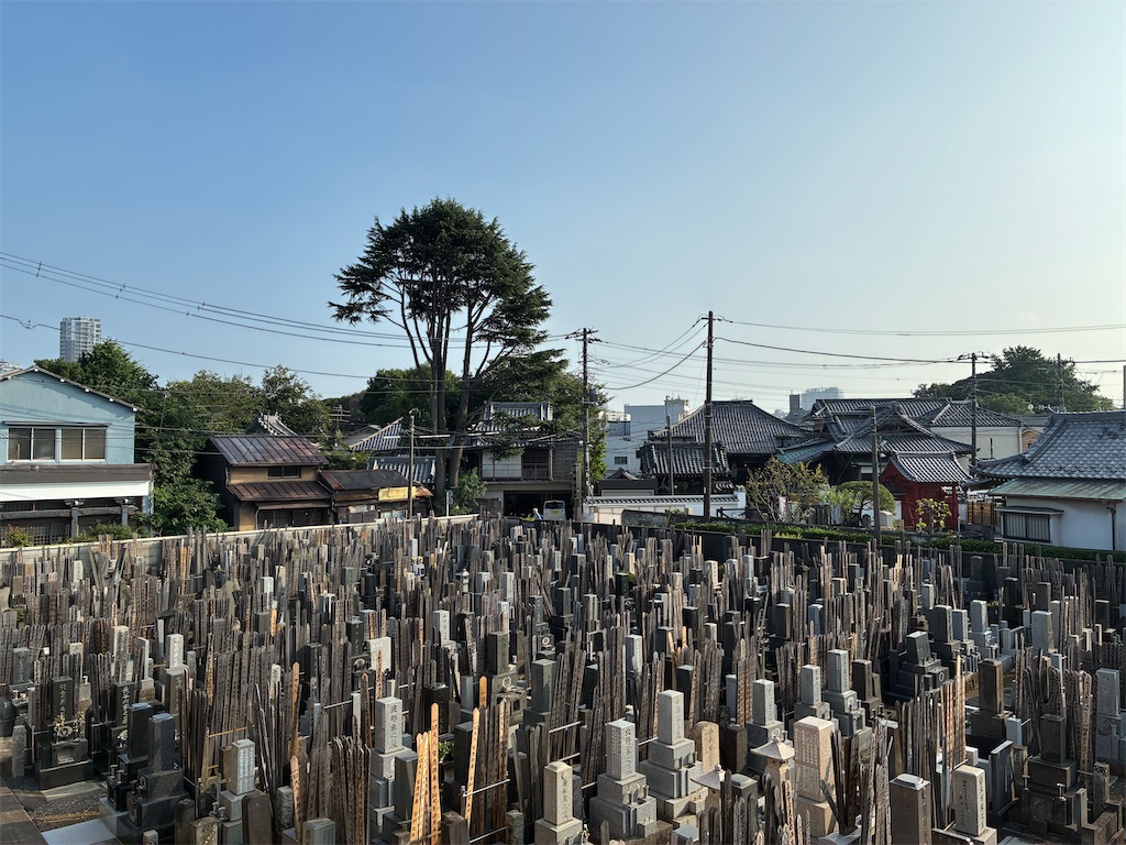 f:id:TokuheiKumagai:20250709164703j:image
