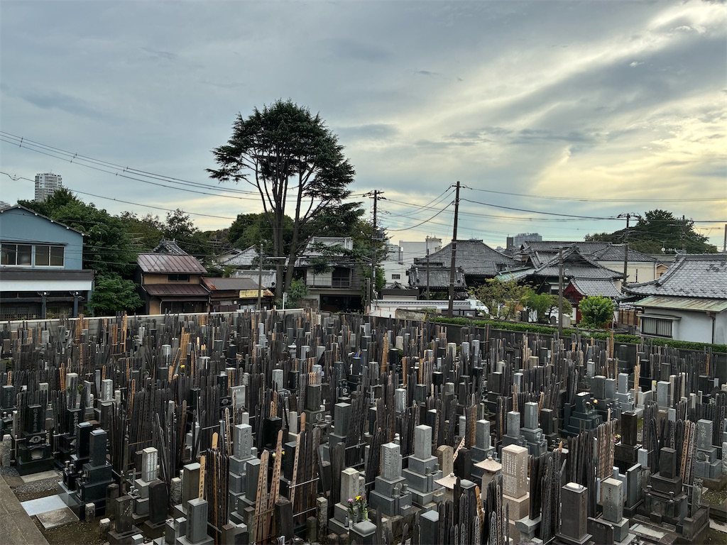 f:id:TokuheiKumagai:20250914183649j:image