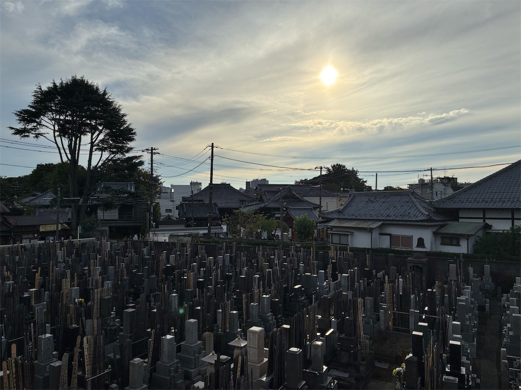 f:id:TokuheiKumagai:20251029150834j:image