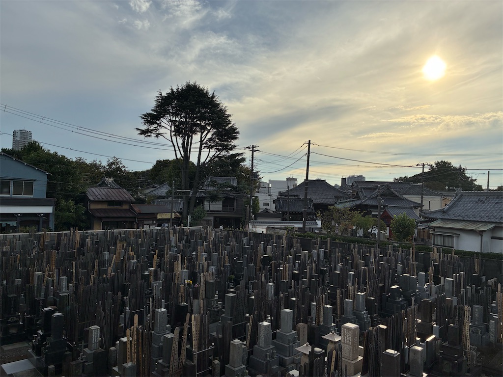 f:id:TokuheiKumagai:20251029150844j:image