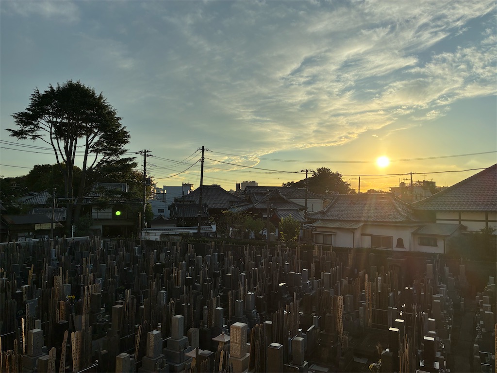 f:id:TokuheiKumagai:20251101215847j:image